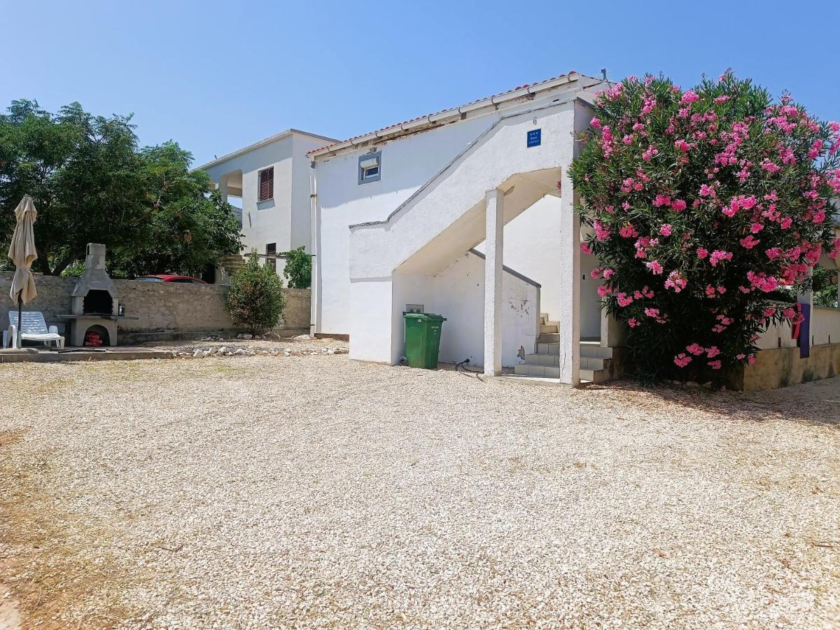 Babic 50 Meters From The